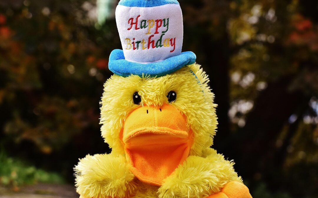 Birthday | Birthday Shenanigans In The Red Rock Wonderland TL;DR:…