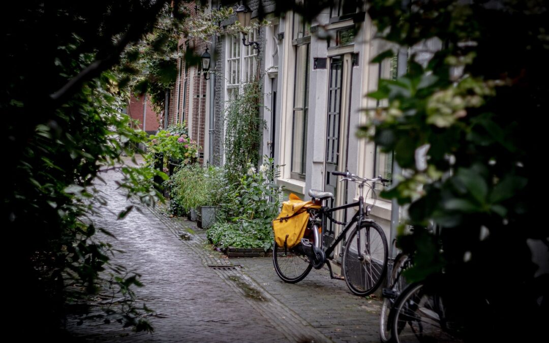 Street Photography: Street Smart: Snapping Shots And Sweeping Views In…
