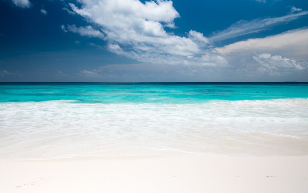 Beach: Sun, Sand, And… Radiation? 🏖️☢️ TL;DR – Ever Dreamt…