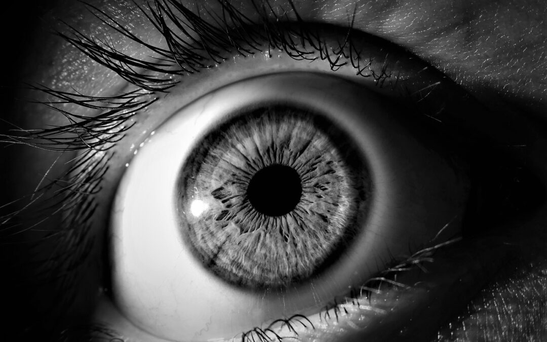 Black And White / The Colors Of Our World: A…