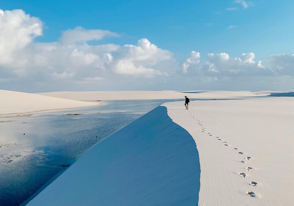 Desert ~ Escape The Concrete Jungle: Why You Need To…