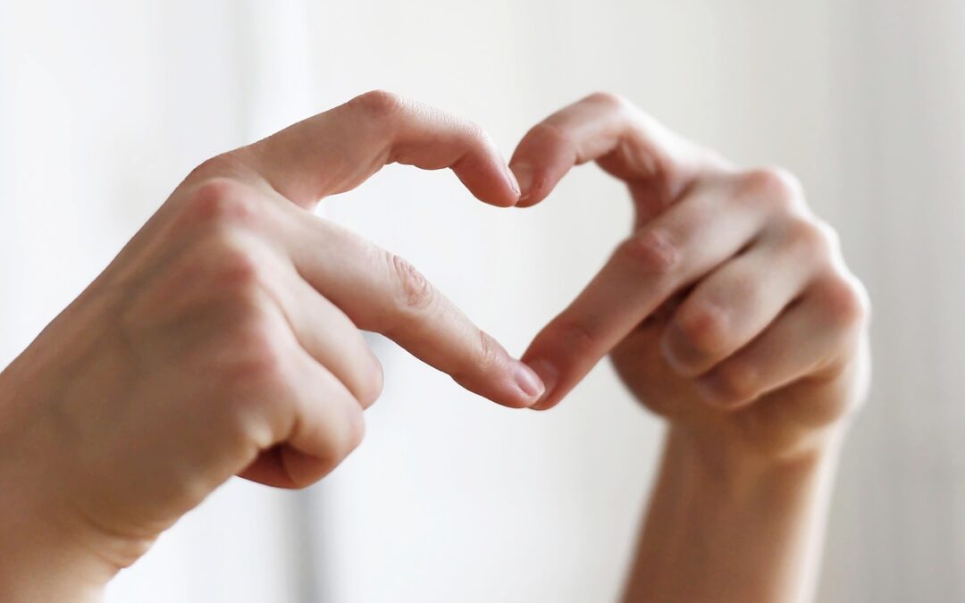 Education: Life Lessons From The Wall, The Heart, And The…