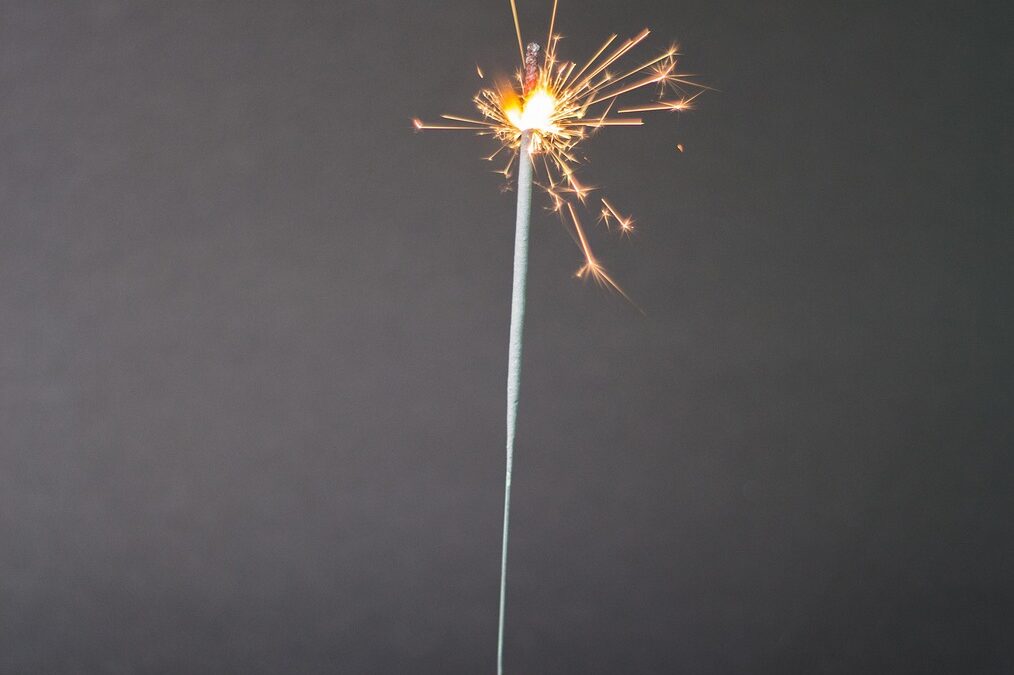 Fireworks – Fireworks, Ghosts, And Glowing Seashells: A Trip To…