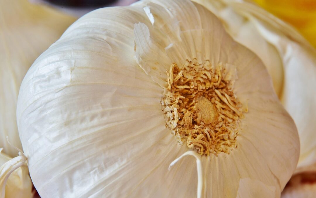 Healthy: Forget Kale, Give Me Krypton! TL;DR: This Article Is…