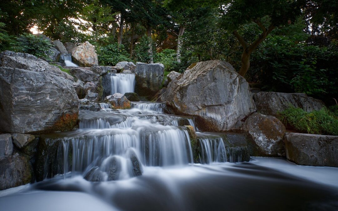Nature And Landscapes » Nature: Where The Eye Candy Grows…