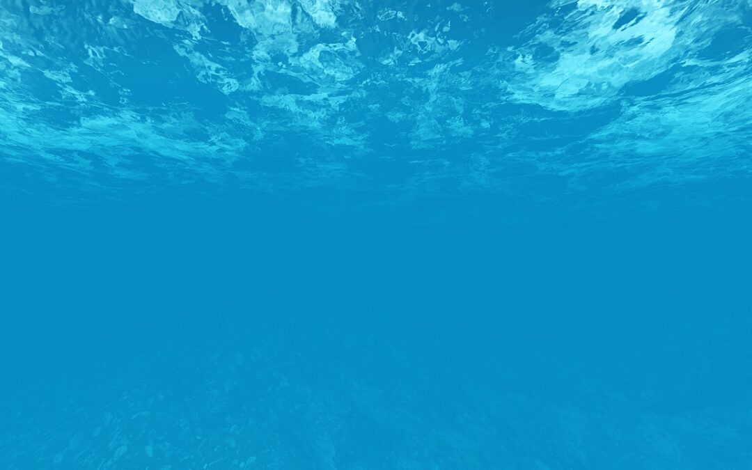 Underwater Life | Dive Deep, Look Sharp, And Breathe In…