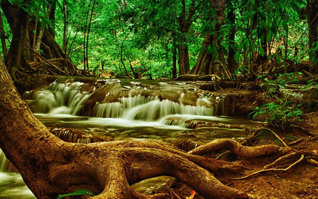 Waterfall ~ Waterfalls, Eye Candy, And A Himalayan Odyssey: A…