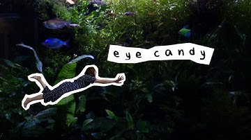 eye candy