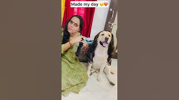 Subscribe for More π₯°β¨ just fun | SourShy Shorts | #shorts #dog #cute #adorable #sourshy #doglove