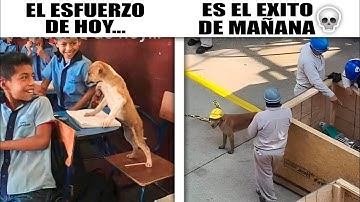 MEMES RANDOM #663
