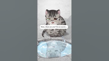 Each Step Brought Her Closer to Home. #cat #animals #animation