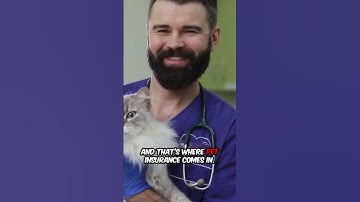 Why Pet Insurance Is a Life Save