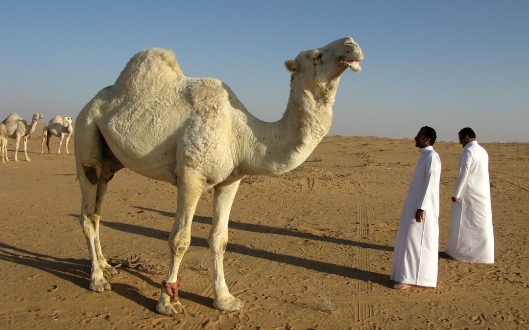 Desert | The Desert, Eye Candy, And A Haunted Prison:…