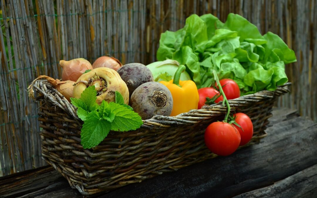 Salad: Let’s Talk Salad, Arches, And Eye Candy! TL;DR: This…