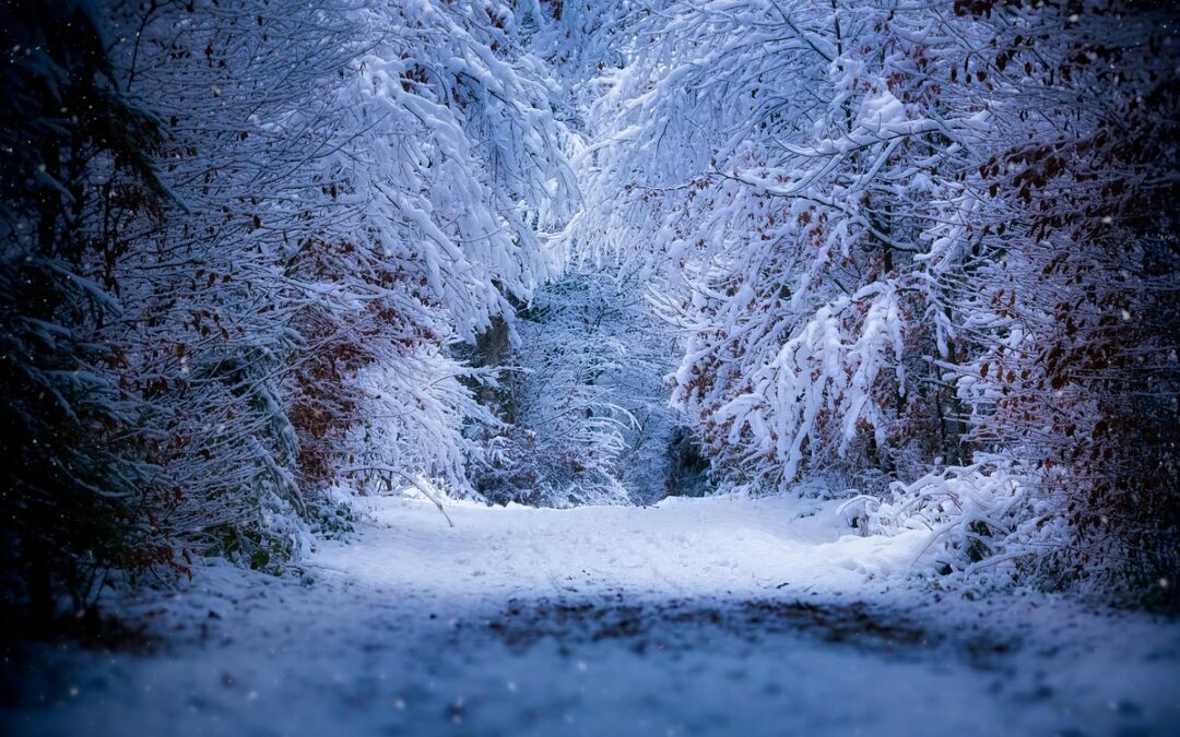 Winter » Winter Wonderland: Where Nature’s Beauty Meets Chillin’ Vibes…